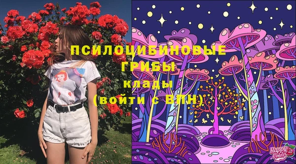2c-b Верхний Тагил