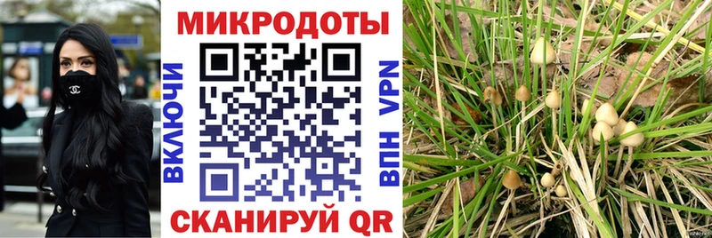 Галлюциногенные грибы Magic Shrooms  дарнет шоп  Сыктывкар 